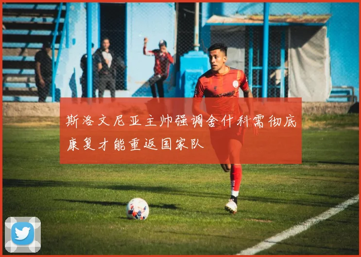 斯洛文尼亚主帅强调舍什科需彻底康复才能重返国家队