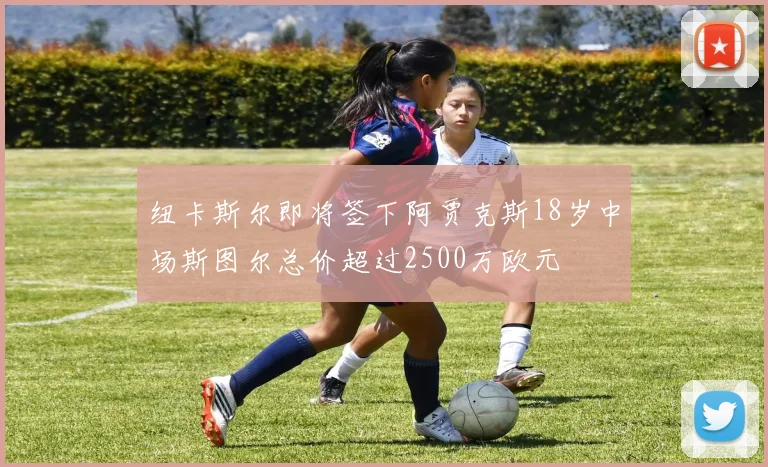 纽卡斯尔即将签下阿贾克斯18岁中场斯图尔总价超过2500万欧元